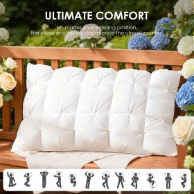 Brushed Twist Pillow, Down Pillow, Down Fiber Two-in-one Pillow,  Double-layer Design, Breathable, OKO-100 Certified (Option: 48X74CM 2pcs)